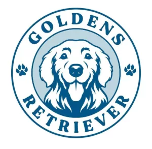 golden retriever image